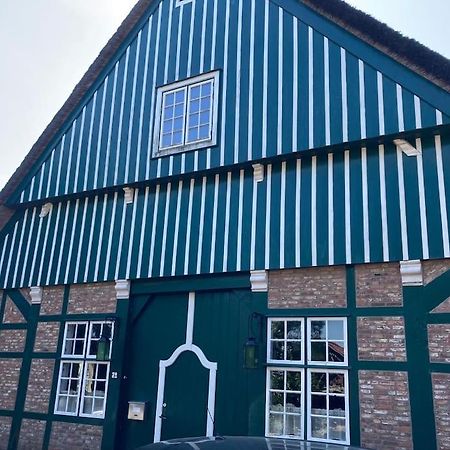 Ferienwohnung Idylle Unter Reet, Gemuetliche Ferienwohnug Haseldorf Exterior foto