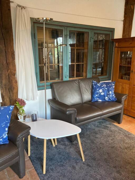 Ferienwohnung Idylle Unter Reet, Gemuetliche Ferienwohnug Haseldorf Exterior foto